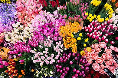 硬核高难像素ACT《亡灵诡计：阴间》9月30日上市